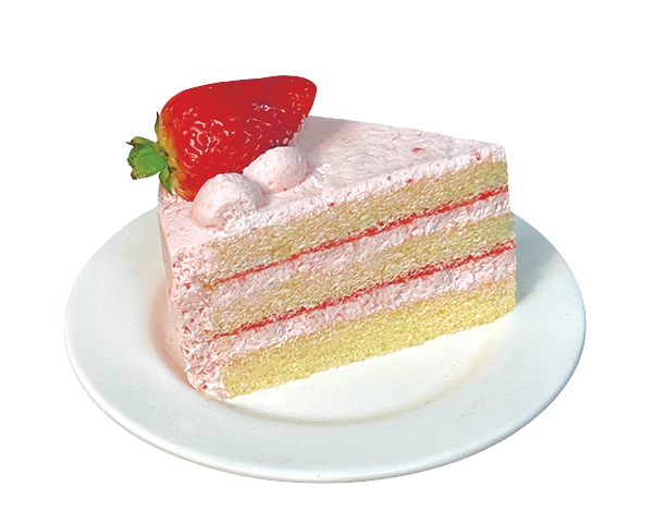 Cake Slice