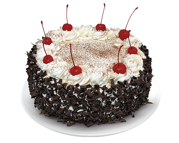 A round blackberry cake with white whipped cream frosting, topped with six red cherries and a dusting of cocoa powder, decorated with chocolate shavings on the sides, served on a white plate.